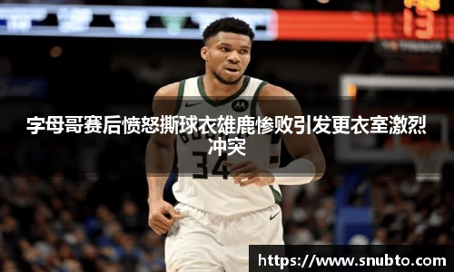 熊猫体育